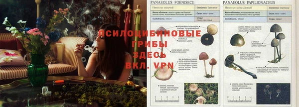 герыч Алзамай